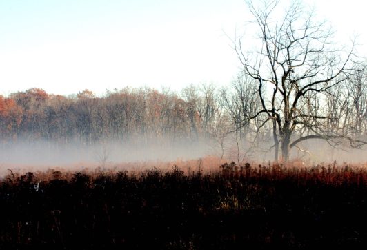 Cam 1 Band Of Autumn