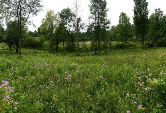 Watershed pano Ben's