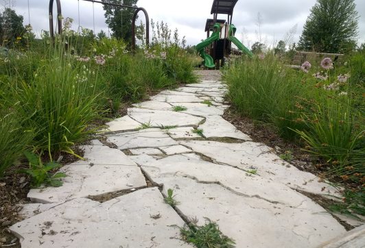 IMG_20200804_091136988