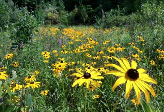 IMG_20200817_110046133_HDR