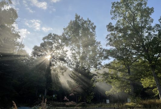 LLNP sun on foggy morning