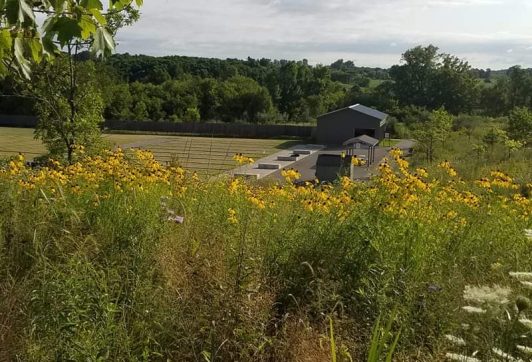 MVP Range late summer